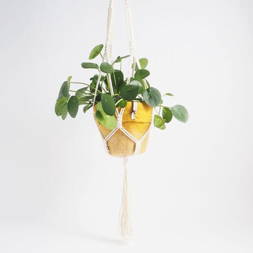 Naturvit makrame ampel till dina hängande växter.
