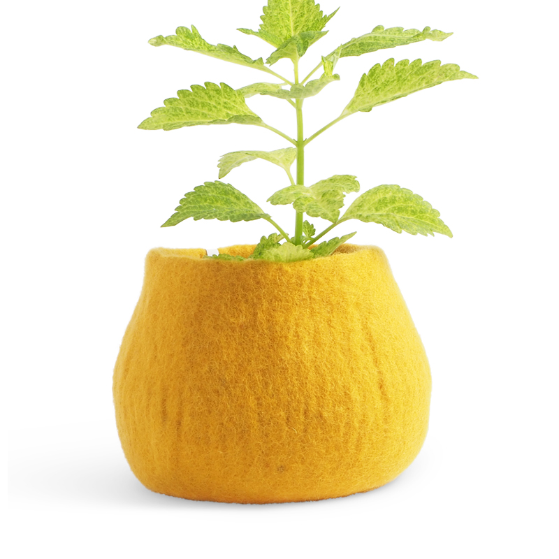 Medium rounded flower pot in yellow made of wool.