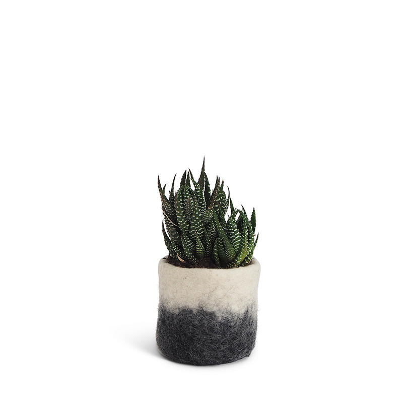 Small flower pot in dark grey made of wool with ombre effect.