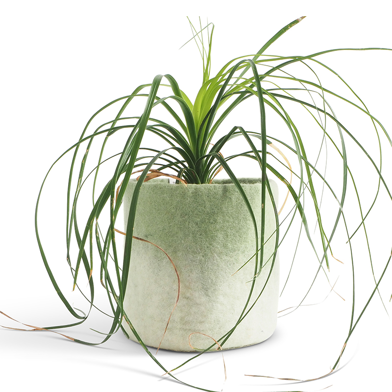 Medium kruka av ull med salvia grön och vit ombre effekt.