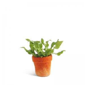 Small flower pot made of wool in terracotta with an ombre effect.