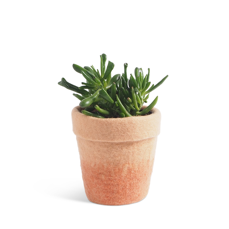 Medium flower pot made of wool in pink with an ombre effect.