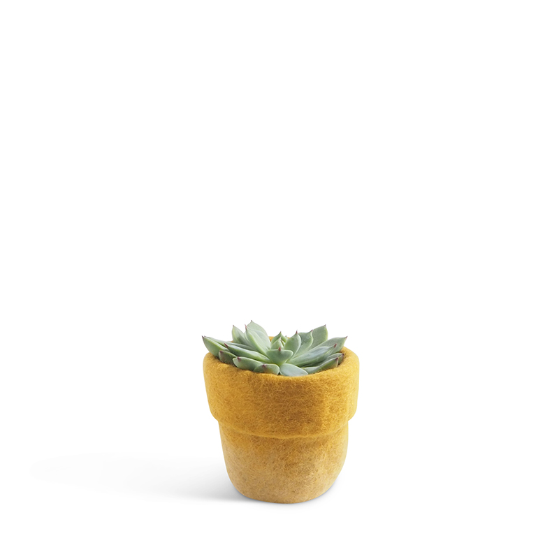 Small flower pot made of wool in ochre color.