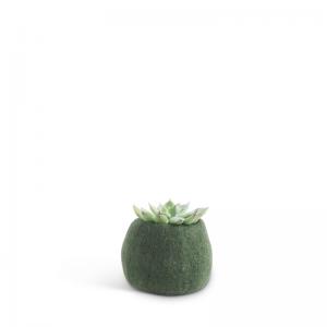 Small rounded flower pot in color moss green, made of wool.