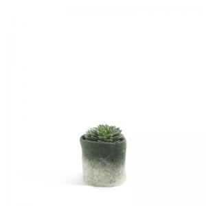 Small flower pot in moss green and white, made of wool with ombre effect with a plant inside.