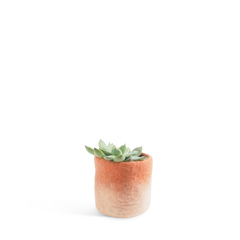 Small flower pot in terracotta and white, made of wool with ombre effect.