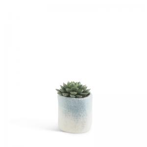 Small flower pot in light blue and white, made of wool with ombre effect with a plant inside.