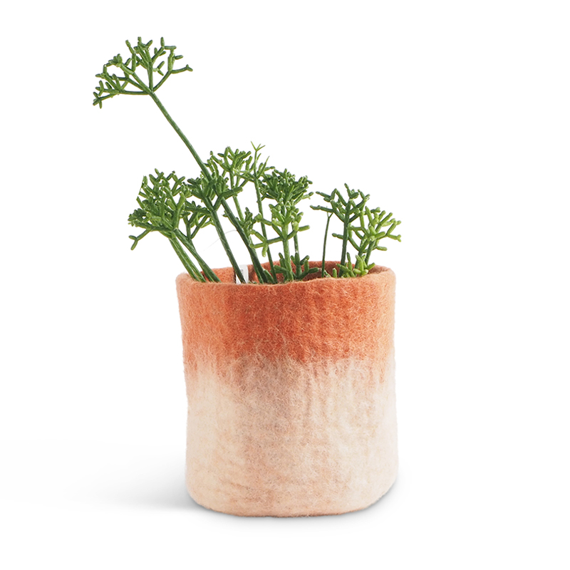 Medium flower pot in terracotta and white, made of wool with ombre effect, with a plant inside.