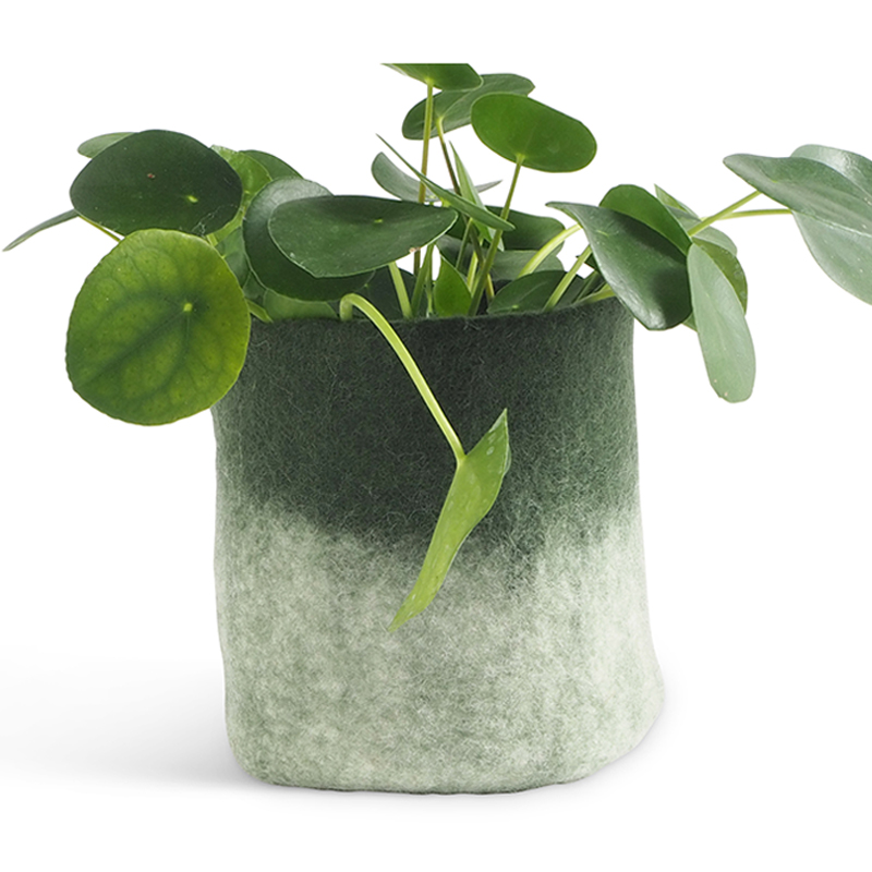 Mellanstor kruka av ull i mossgrön och vit med ombre effekt med växt i.