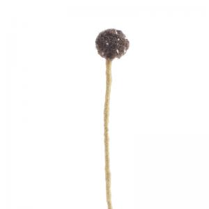 Cut flower made in wool with fuzzy brownish ball on the top.