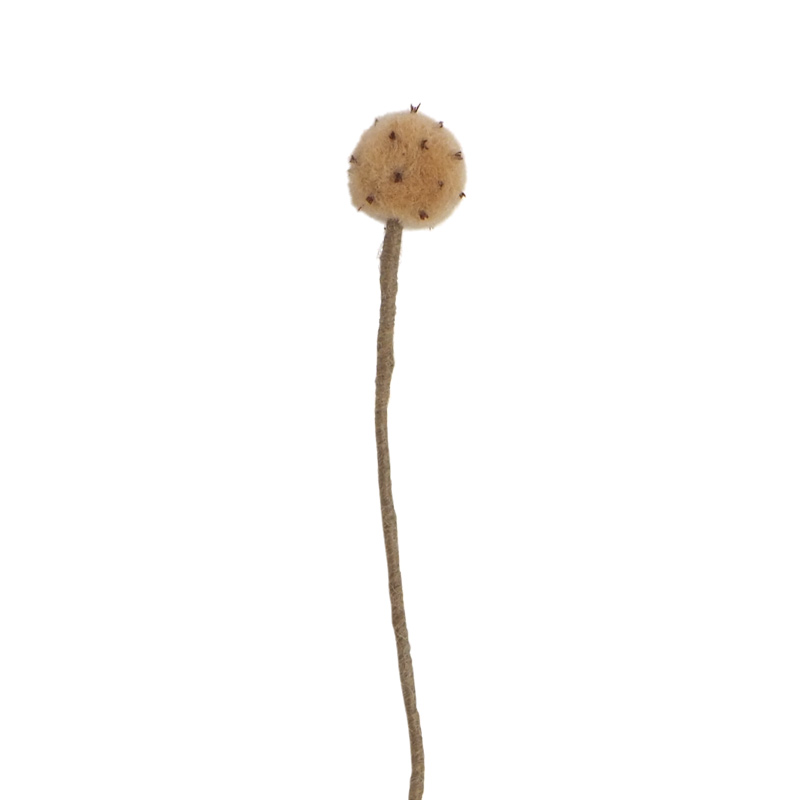 Cut flower made in wool with golden brown ball on the top.