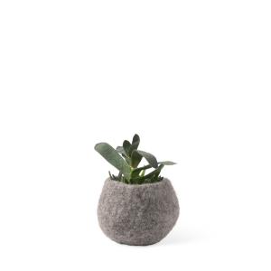 FLOWER POT 16, S, raw-nature