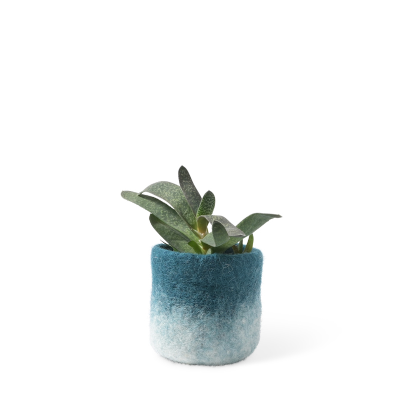 FLOWER POT 18, S, petrol