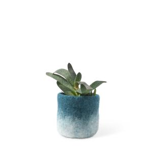 FLOWER POT 18, S, petrol