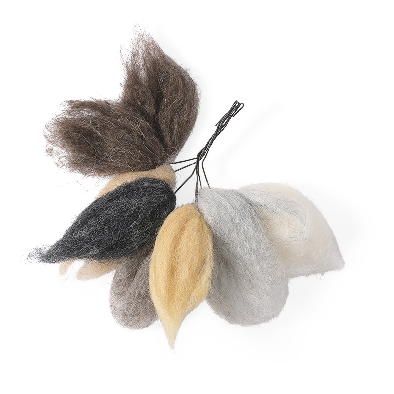 EASTER, 8-pack, wool-feathers, nature