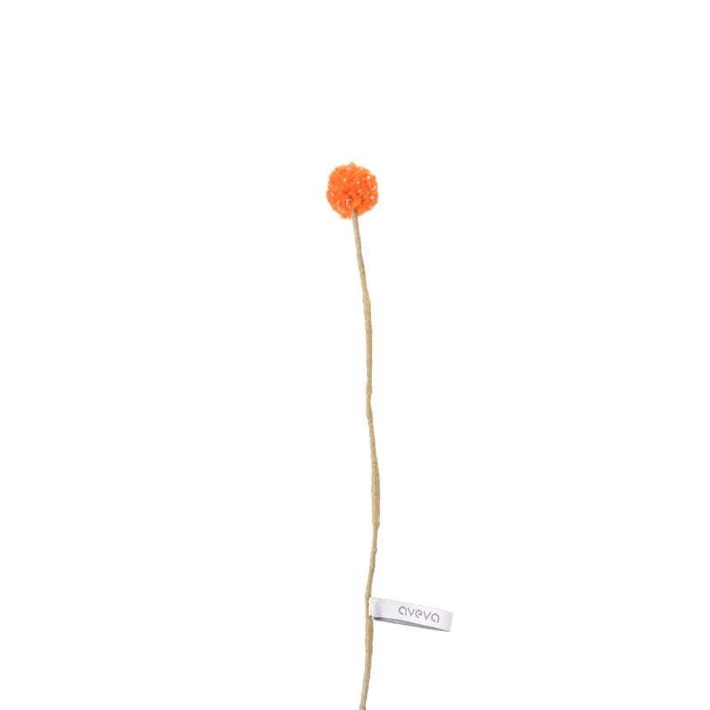 ENDLESS FLOWER, saffron thistle