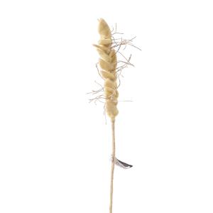 ENDLESS FLOWER, wheat
