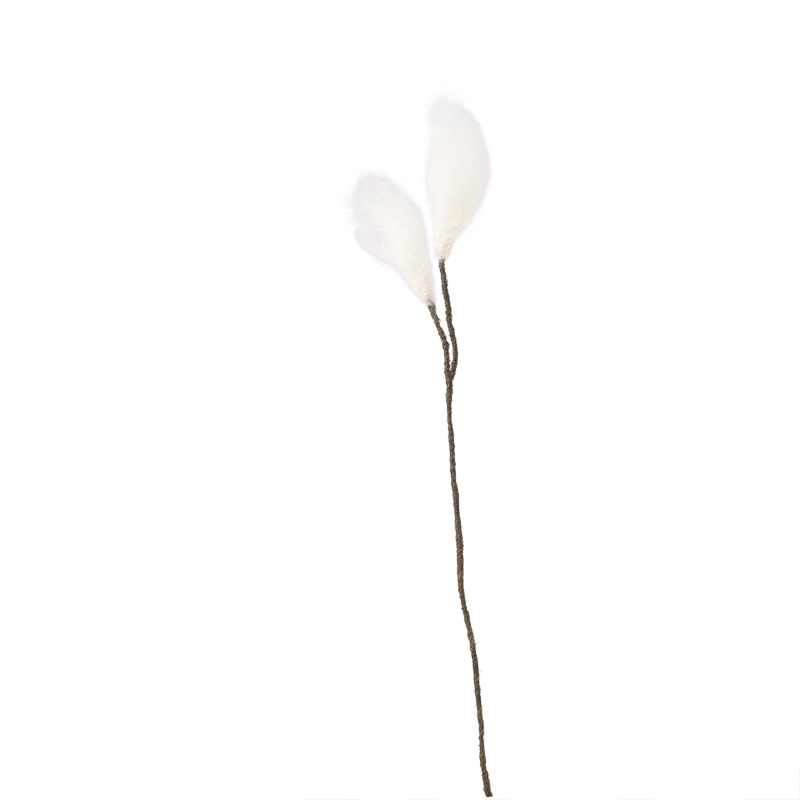 ENDLESS FLOWER, cottongrass