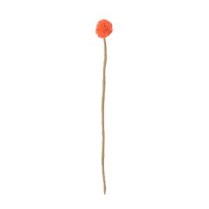 ENDLESS FLOWER, coral pop thistle