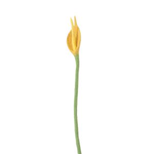 ENDLESS FLOWER, flamingo, yellow