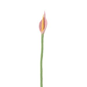 ENDLESS FLOWER, flamingo, pink