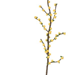 ENDLESS FLOWER, big branch, forsythia