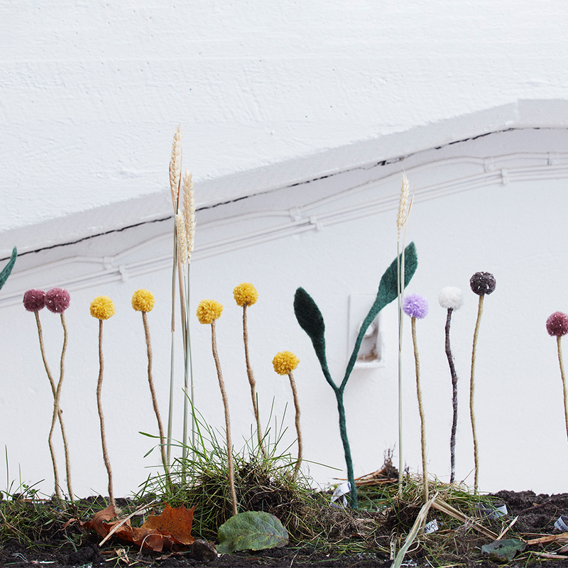 Snittblommor i ull i olika modeller som står upp i en rabatt.