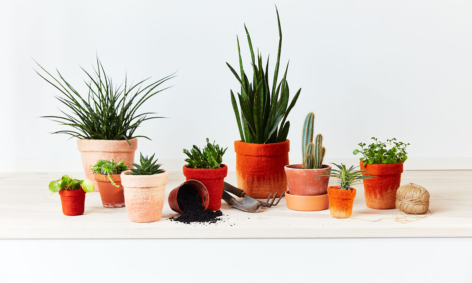 flowerpots in different colors and sizes in terracotta hues.