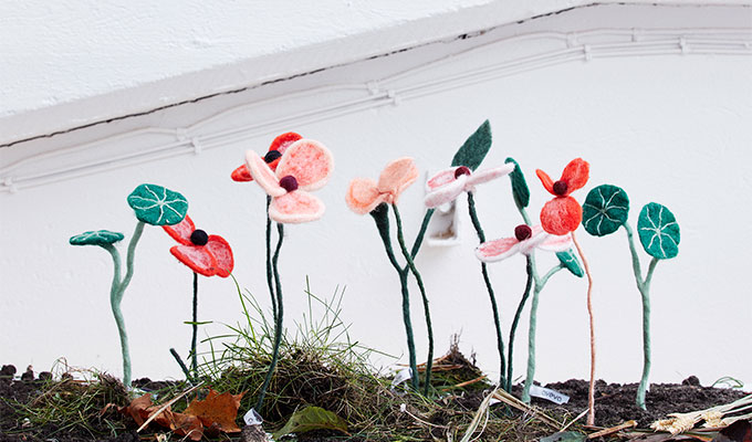 Snittblommor i ull i olika modeller som står upp i en rabatt.
