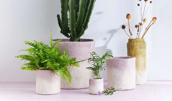 Flowerpots in different colors in white and lavender ombre