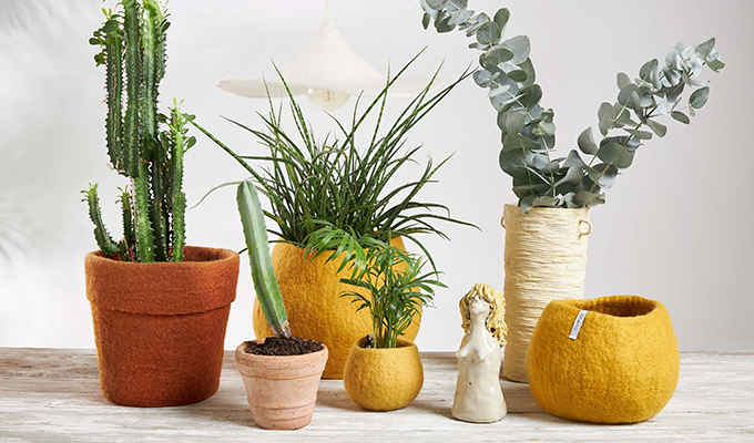 Green big plants and flowerpots in different colors and sizes in mustard and terracotta