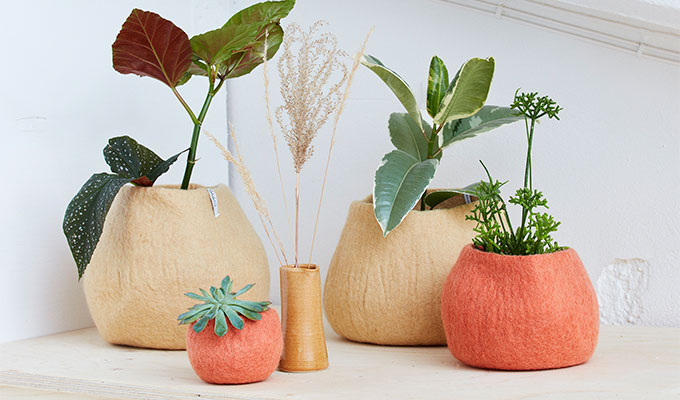 Gröna växter i ullkrukor i färgerna sand och terracotta.