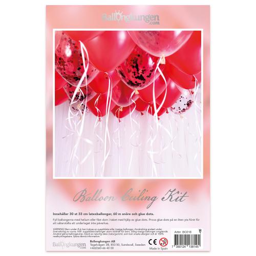 Balloon Ceiling Kit - LOVE