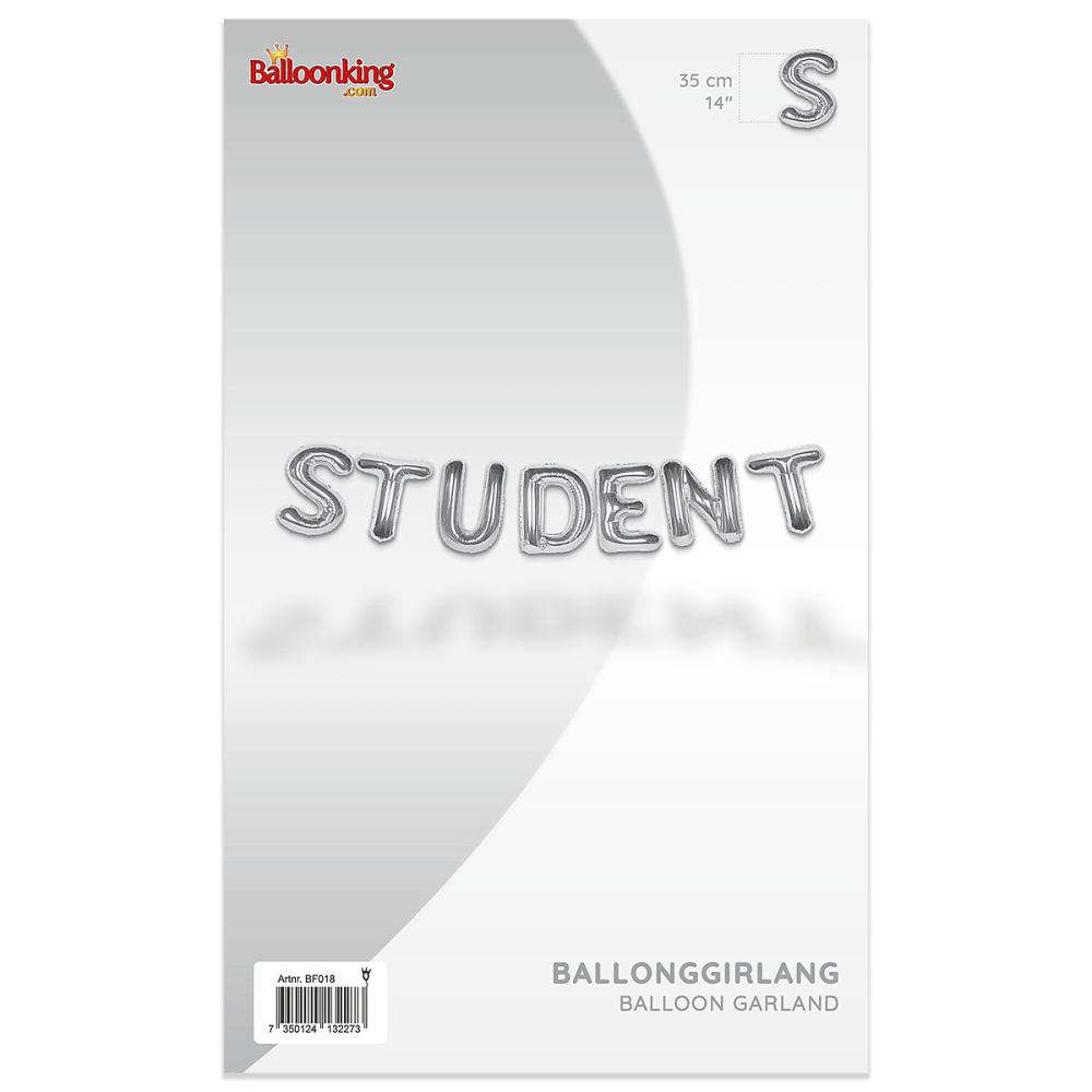 Ballonggirlang - STUDENT Silver 35 cm