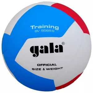 Gala BV5565S Volleyboll