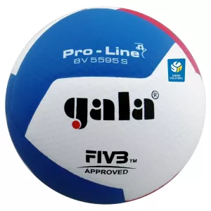 Gala BV5595S Officiell matchboll