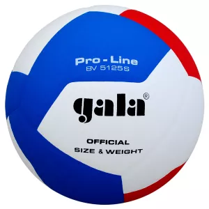 Gala BV5125S Volleyboll