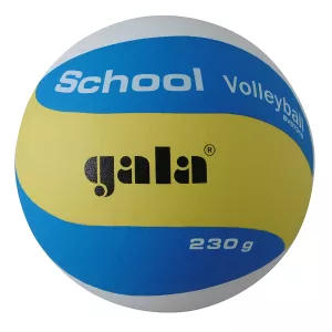 Gala School Volleyboll