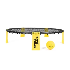 Spikeball Standard
