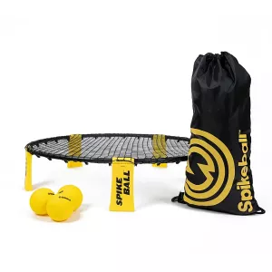 Spikeball Standard