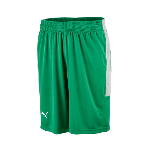 Puma Basketshorts Grön/Grå