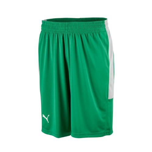Puma Basketshorts Grön/Grå
