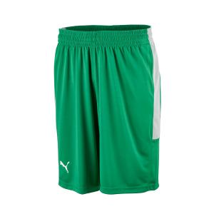 Puma Basketshorts Grön/Grå