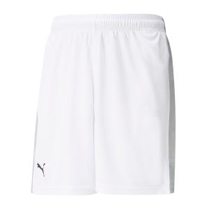 Puma Basketshorts Jr Vit/Grå