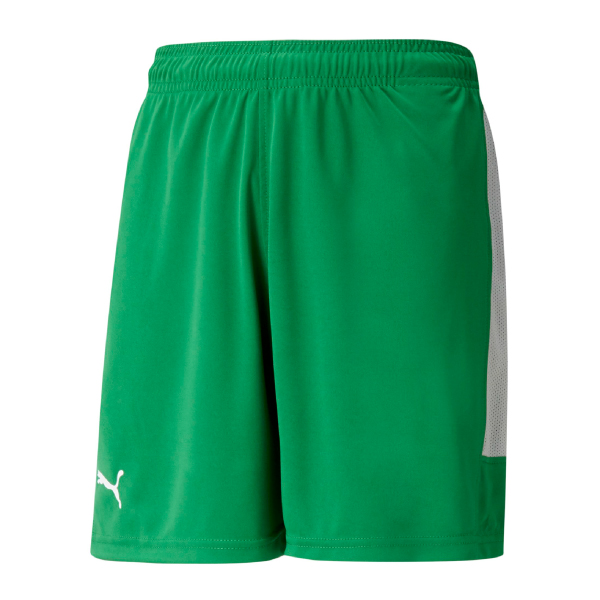 Puma Basketshorts Jr Grön/Grå