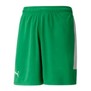 Puma Basketshorts Jr Grön/Grå