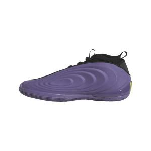 Adidas Harden Volume 10 "Tech Purple"