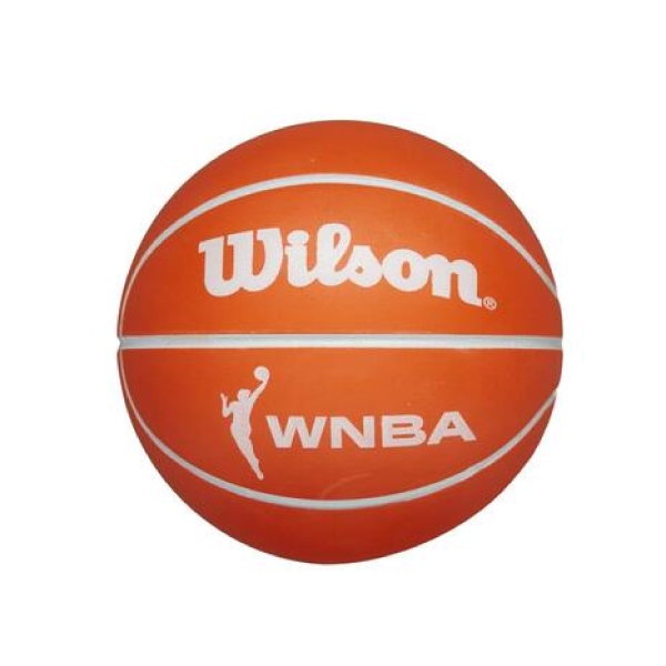 Wilson Teknikboll WNBA