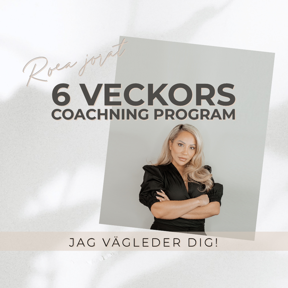 6 veckors program -  Karriär coaching