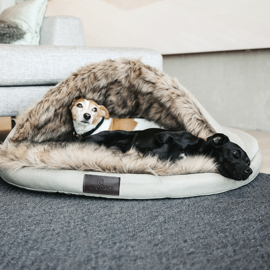 Dog igloo deals bed